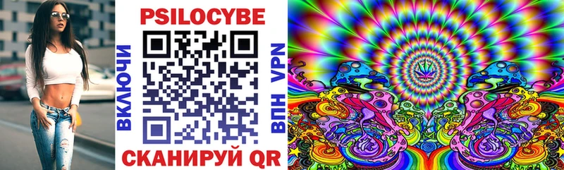 MEGA tor  Лагань  Галлюциногенные грибы Psilocybine cubensis  цены  